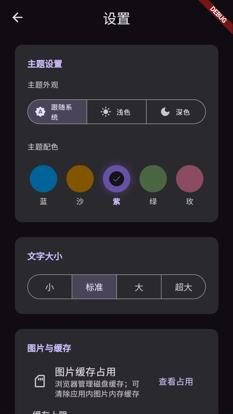 设置页：主题外观、配色与文字大小